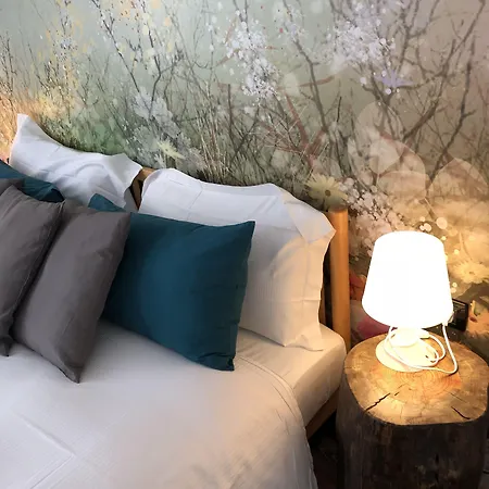 Francis Superior Trieste