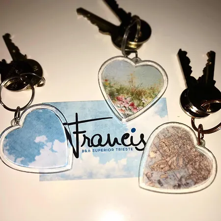 Francis Superior Gasthuis 4*