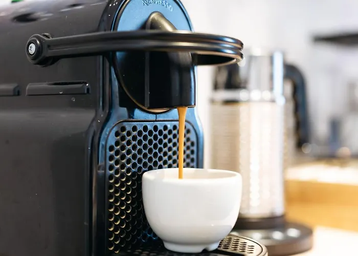 Francis Superior Trieste