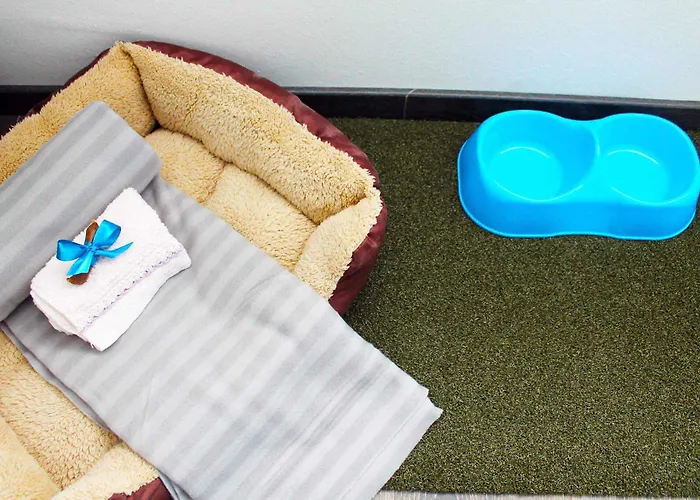 Francis Superior Konukevi